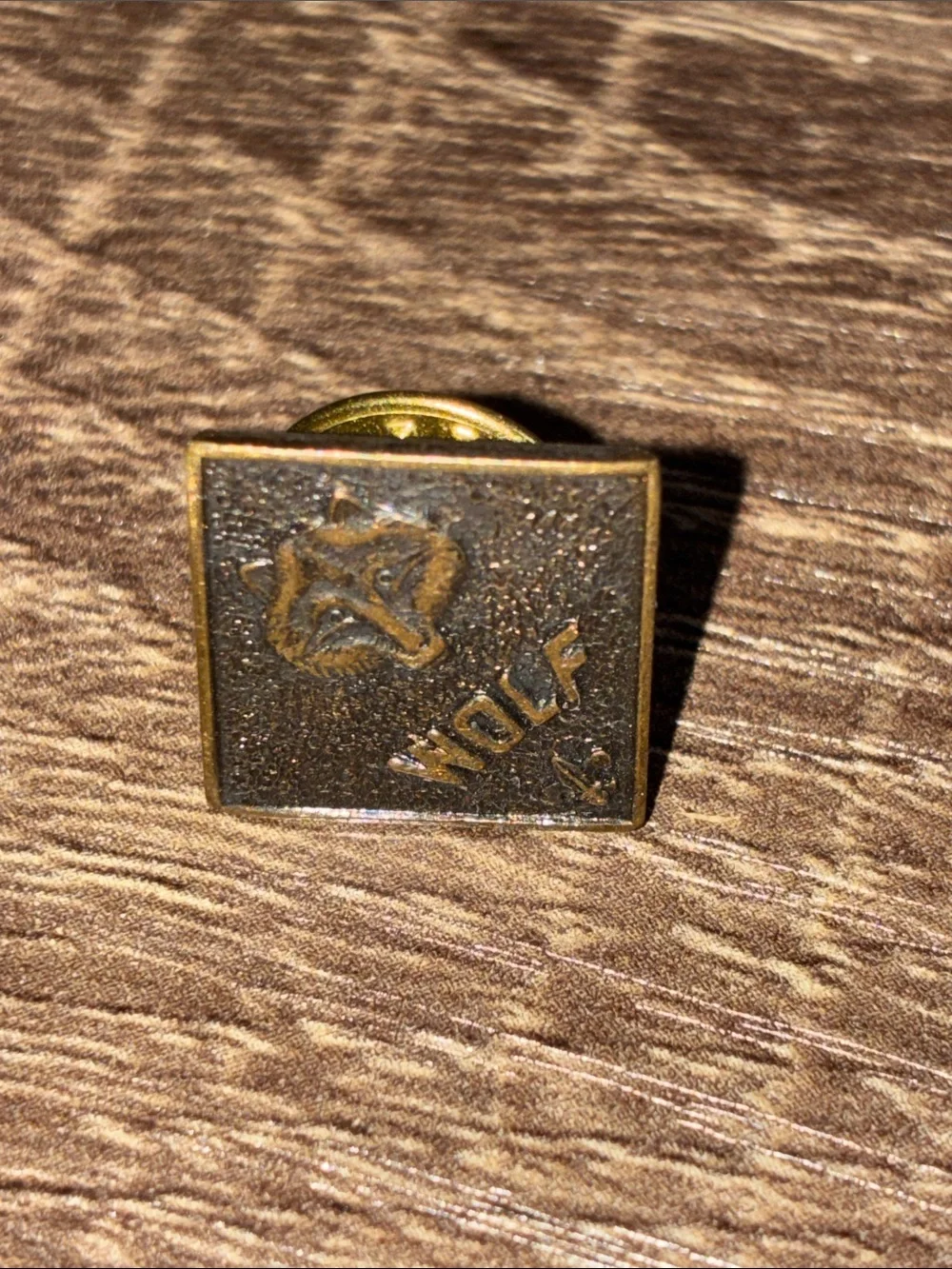 Vintage Bronze Tone Boy Scout Lot of 5 Lapel Pin Set